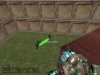 Thenoob1.jpg