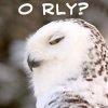FUNNY-ANIMALS.jpg