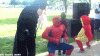 dance party.gif