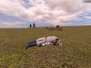 facewan_hugeflatmap_v40507.jpg