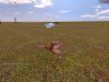 facewan_hugeflatmap_v40520.jpg