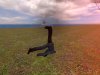 facewan_hugeflatmap_v40613.jpg