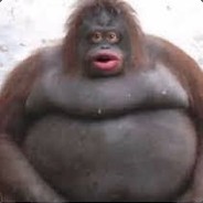 Ariana Harambe