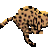 Furchee